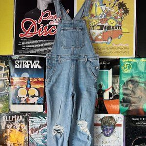 Wild Fable denim overalls